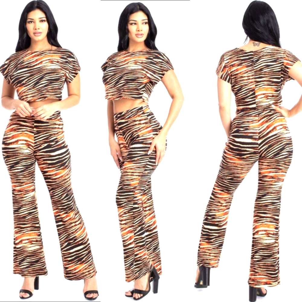 Zebra Print and Crop Top & Pants Set